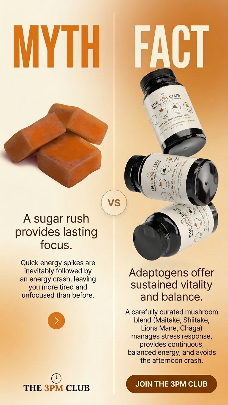 The 3PM Club — Adaptogen Vitality Gummies
